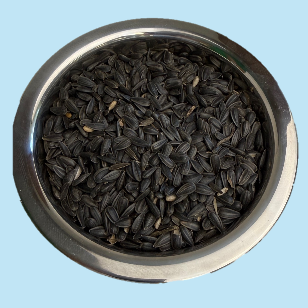 Sunflower: Black Oil