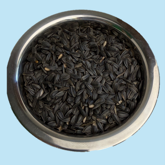 Sunflower: Black Oil