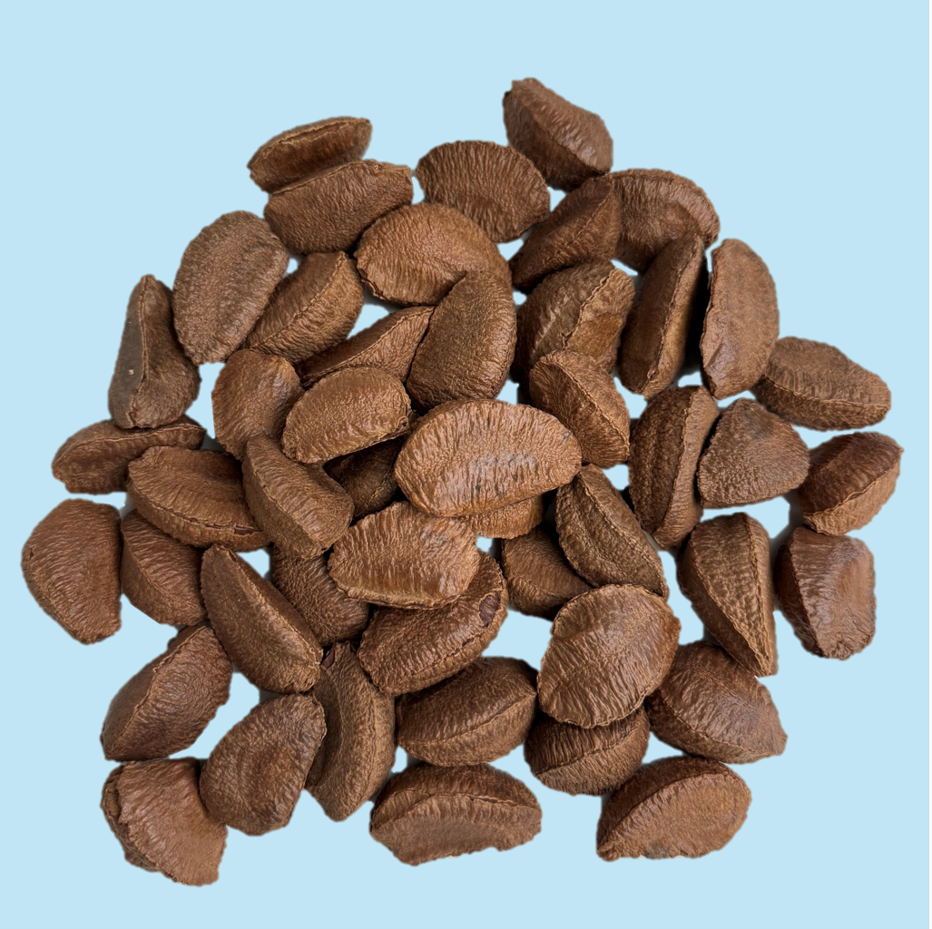 Brazil Nuts