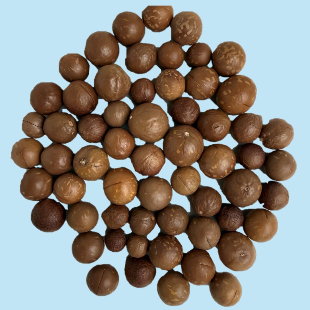 Macadamia Nuts