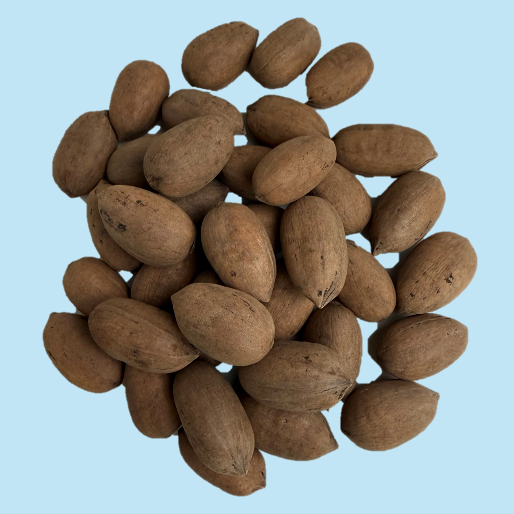 Pecans (In-Shell)