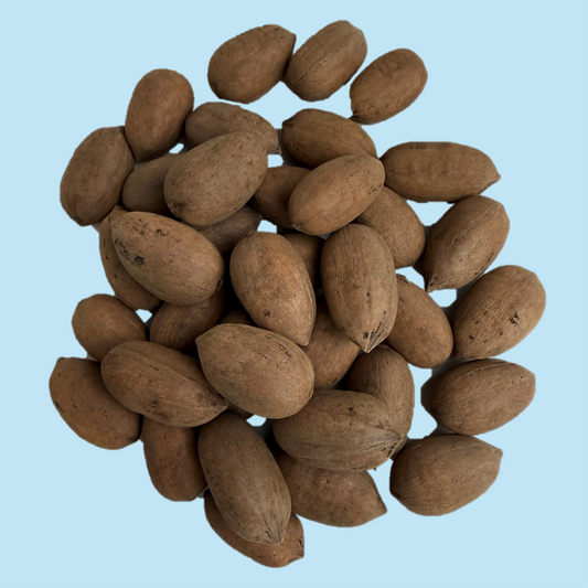 Pecans (In-Shell)