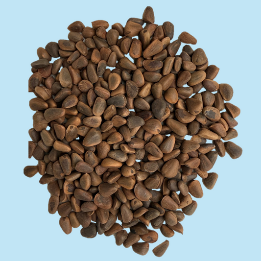 Pine Nuts (In-Shell)