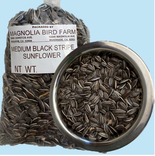 Sunflower: Medium Black Striped