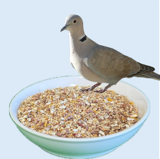 Dove Mix
