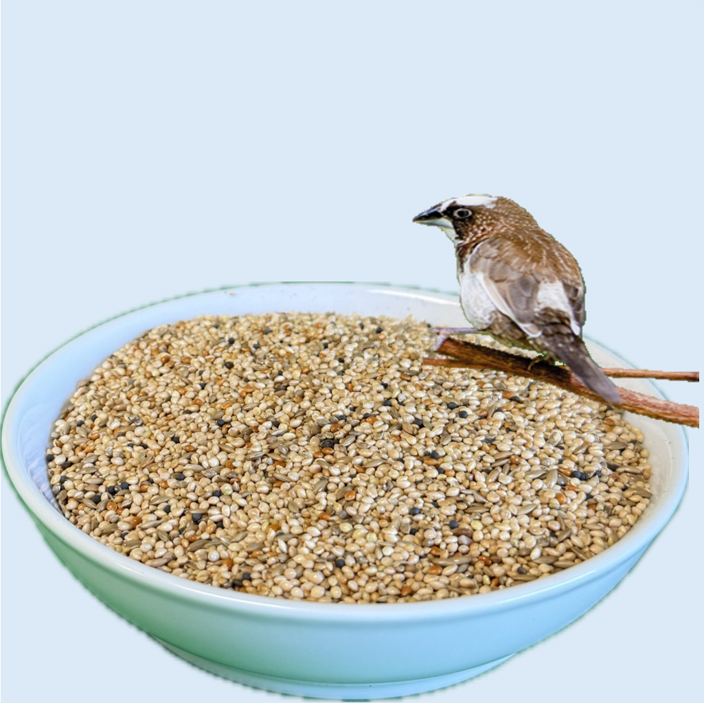 Finch Mix