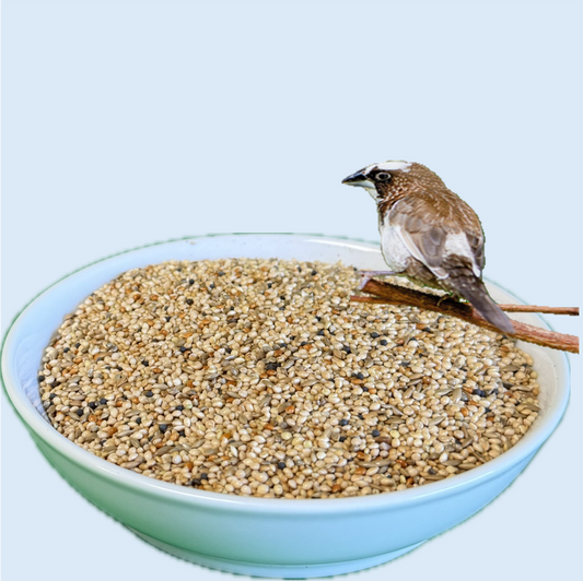 Finch Mix