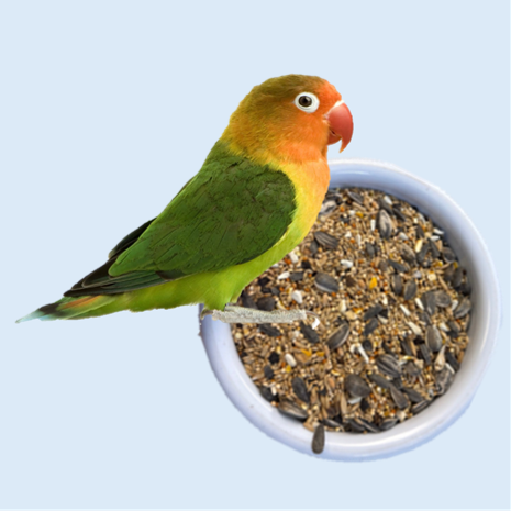 Lovebird Mix