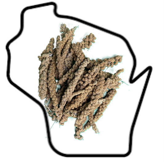 Spray Millet (Wisconsin Blend)