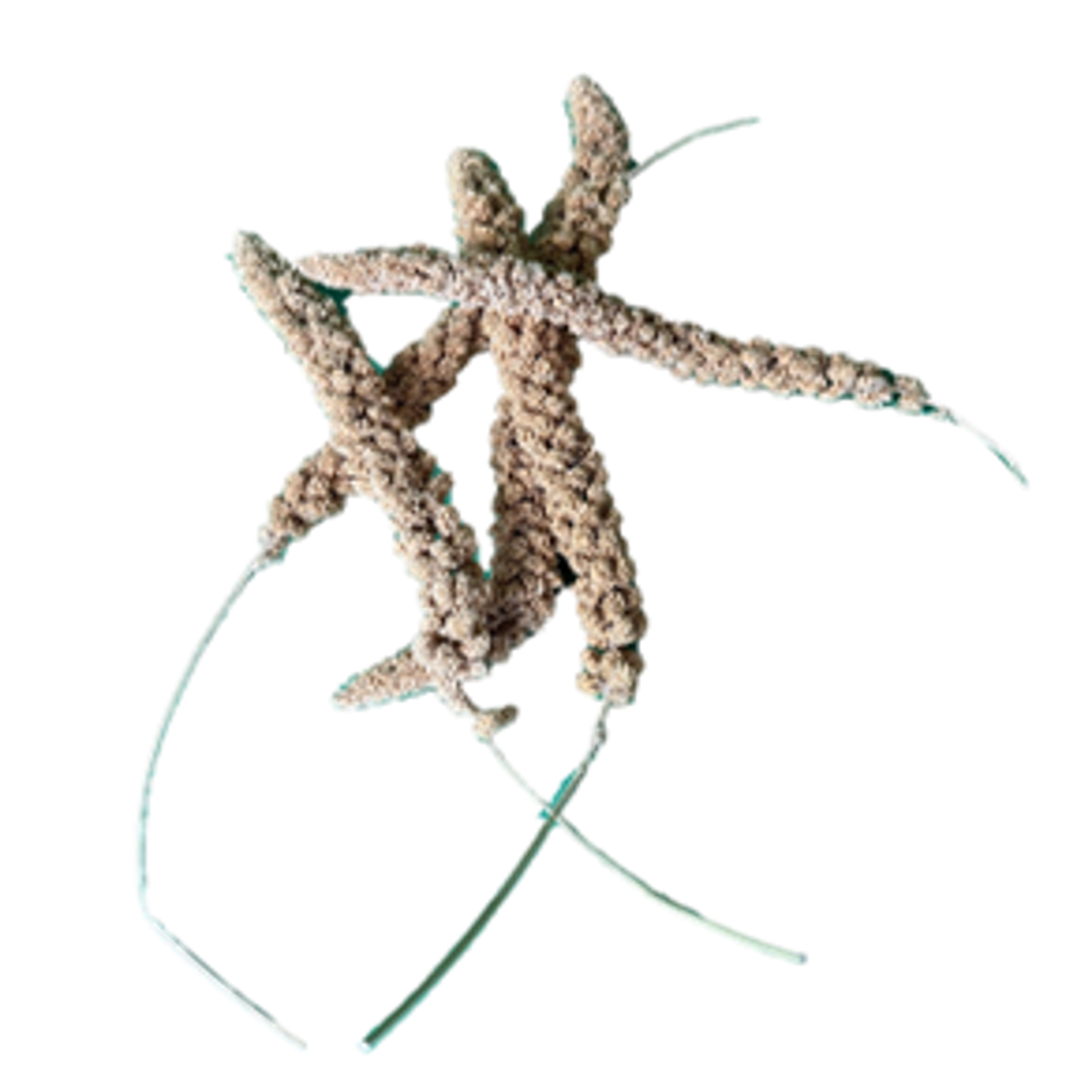 Spray Millet (California Blend)