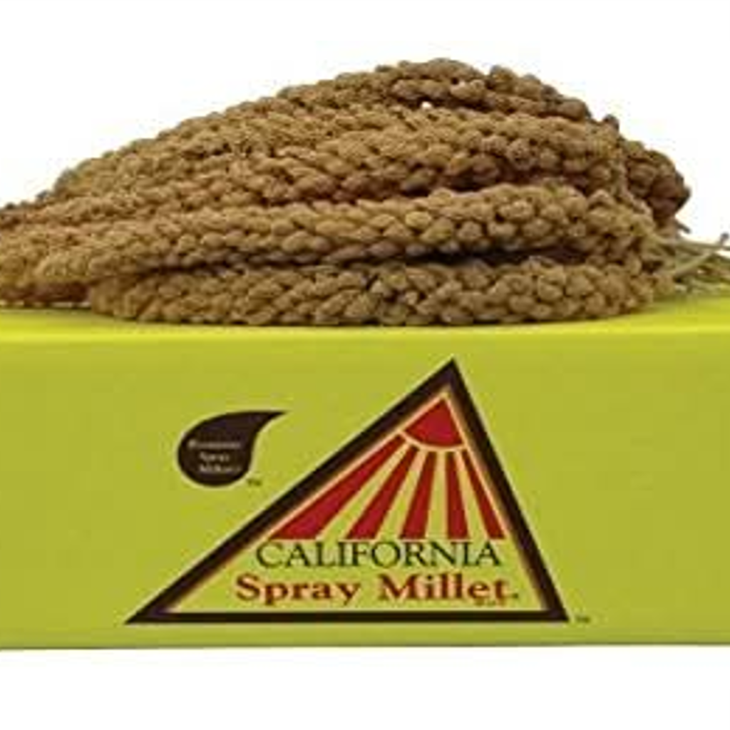 Spray Millet (California Blend)