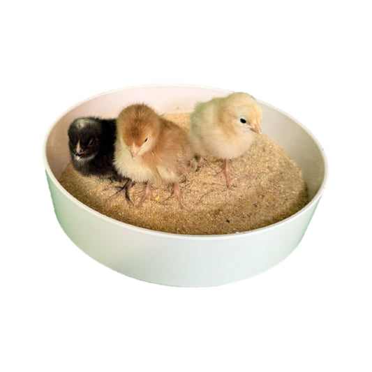 Chick Starter Mash