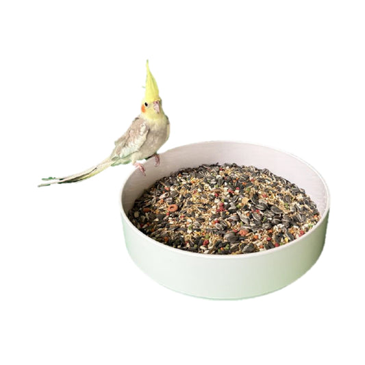 Cockatiel Mix