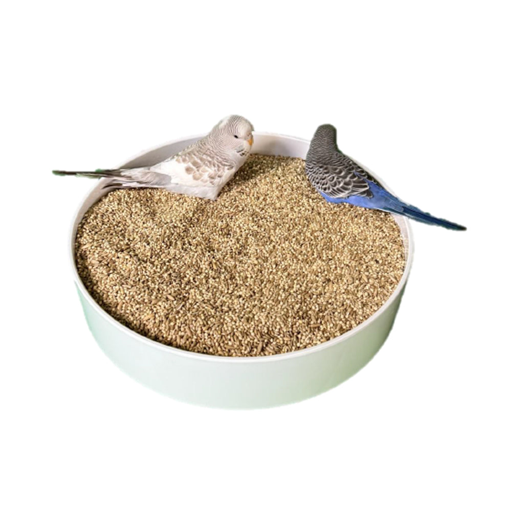 Parakeet Mix – Magnolia Bird Farm