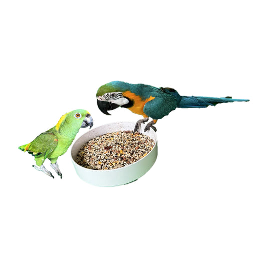 Large (Senior) Hookbill Mix
